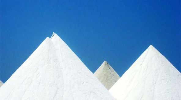 El Borg Products El Borg Products